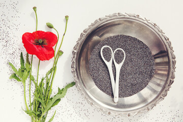 Red poppy flowers on white background, poppy seeds in spoons on plate. Top view. Copy space