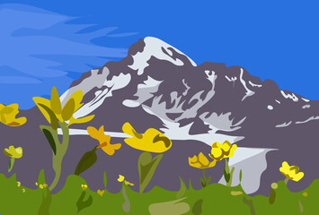 Beautiful Kazbek mountain with yellow flowers in the foreground. Illustration.