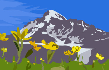 Fototapeta premium Beautiful Kazbek mountain with yellow flowers in the foreground. Vector illustration.