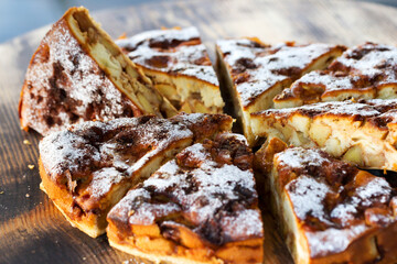 Authentic sponge cake with raisins, cinnamon and apples. Morning atmospheric lighting, fashionable trendy spot soft focus. Preparation for design creative menu. Culinary pastries.