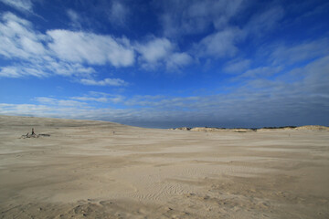 Fototapeta na wymiar Sand dunes in Slowinski National Park near Baltic sea, Poland