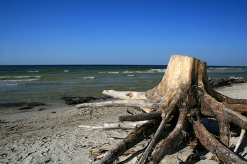 Landscape of beach in Ustka village, Baltic sea, Poland 