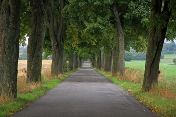 Road near Ostroda in Masuria region in Poland