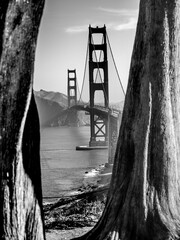 silhouette black and white of the Golden Gate Bridge