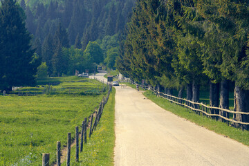 Mountain road in the italian pre Alps
