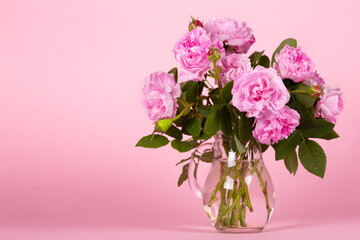 Bouquet of fresh beautiful pink roses on a pink background