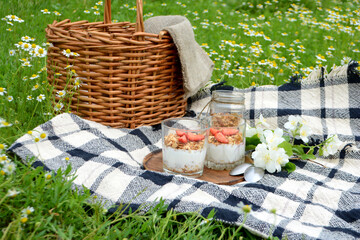 Picnic in the Park on the green grass with berry, granola.  Picnic basket and blanket. Summer holiday