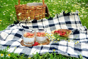 Picnic in the Park on the green grass with berry, granola.  Picnic basket and blanket. Summer holiday