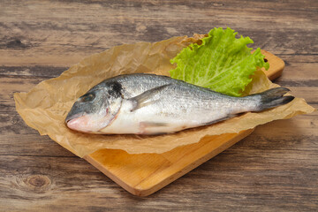 Raw Dorada fish  for cooking