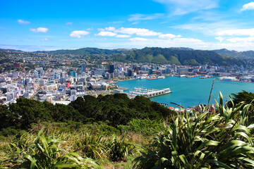 Wellington bay and cityscape with lush vegetation as seen from Mount Victoria. Wellington, New...