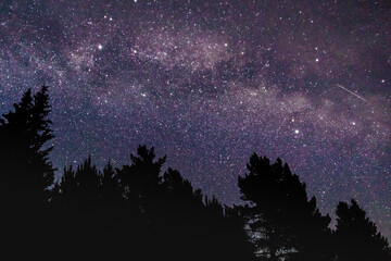 starry sky at night in the milky way forest