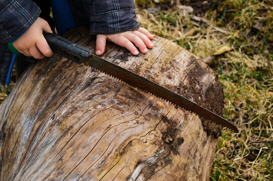 A child saws a tree