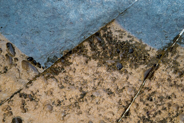 Cicatrices, grietas en las rocas de la cala Baladrar, en Benissa, Alicante
