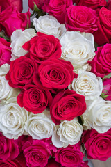 Multi-colored bouquet of red, pink and white roses