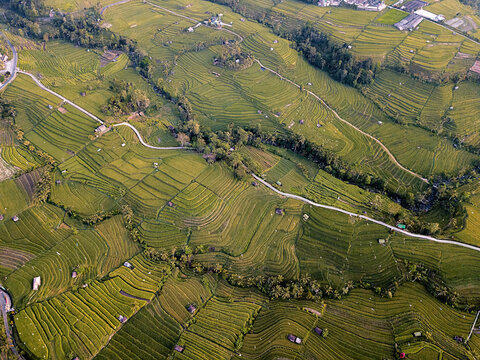 Sunrise. Unesco World Heritage Jatiluwih Rice Terrace. Bali, Tabanan, Indonesia from the sky. Drone photography