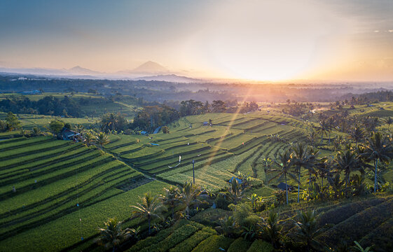 Sunrise. Unesco World Heritage Jatiluwih Rice Terrace. Bali, Tabanan, Indonesia from the sky. Drone photography