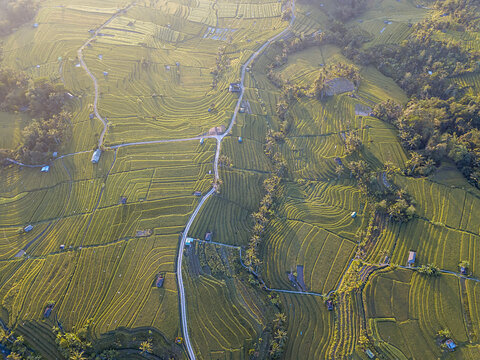 Sunrise. Unesco World Heritage Jatiluwih Rice Terrace. Bali, Tabanan, Indonesia from the sky. Drone photography