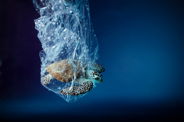 Turtle in plastic bag in ocean. Platic pollution problem. World oceans day concept. Environment...