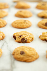Chocolate Chip Cookies