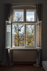 View from an open window of a nest on an autumn tree, which is losing its yellow leaves.