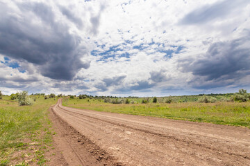 rural field landscape with road