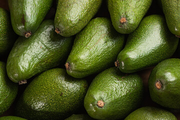 A lot of avocado close up. Healthy and tasty food. Exotic fruit