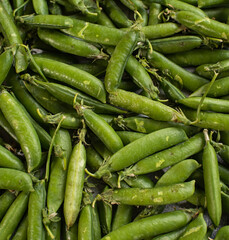 A lot of fresh and tasty green peas. Healthy food