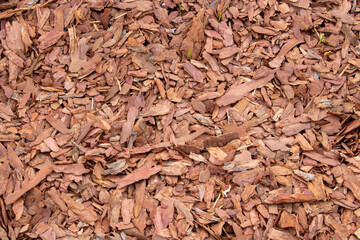 Wood shavings close-up. background of wood shavings.