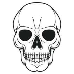 Black and White Illustration of Skull. Human Head Bone. Skeleton Hand Drawn Tattoo Design.