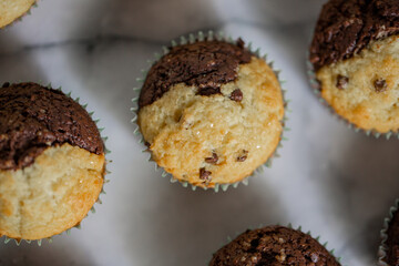 Chocolate Vanilla Cupcakes