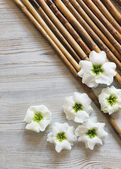 Top view of bamboo, white flowers and wood background. Clean beauty concept, spa, сlean beauty concept. Your product here. Space for a text. Flat lay.