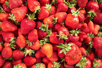 A lot of red, tasty and ripe strawberries. Healthy and nutritious food