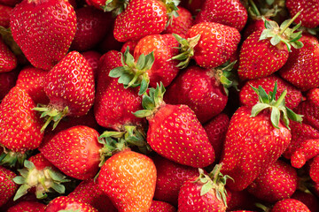 A lot of red, tasty and ripe strawberries. Healthy and nutritious food