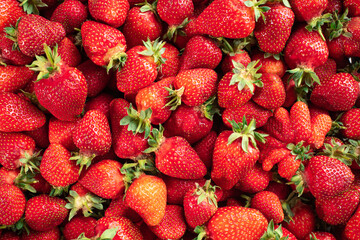 A lot of red, tasty and ripe strawberries. Healthy and nutritious food