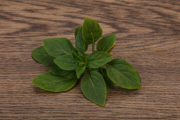 Aroma seasoning - Green Basil leaves