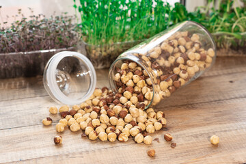 Tasty hazelnuts. Healthy and nutritious food