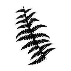 fern branch in simple style black silhouette