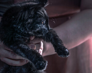 Lovely, lovely animal