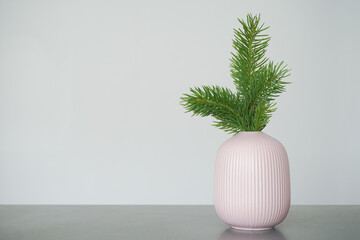 Soft home decor. Small fir branches in ceramic vases on table top. Front view composition with a space for a text. Eco decor