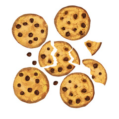 Homemade choco Cookies isolated on white background. Chocolate chip biscuit cookie. illustration. Clip art. Digital art.