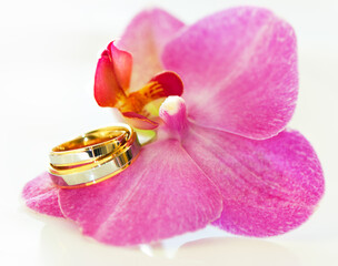 Wedding rings on the orchid flower