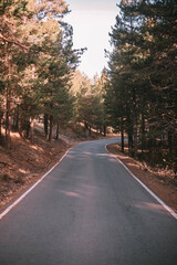 Obraz premium road in autumn