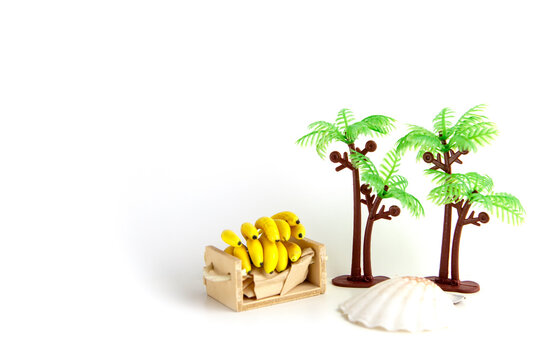 Palm tees, shell, box of bananas are on white background like a card of tourism or cargo company