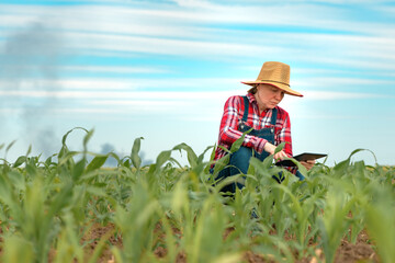 Concerned female farmer with tablet in corn field looking at black smoke on horizon
