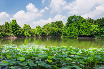 dongshan hu, east mountain lake, park guangzhou china