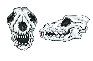 Collection of dead head bones of a dog. Vector illustration.