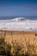view of the beach with huge waves in Nazare