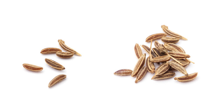 Caraway isolated on white background.