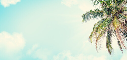Summer tropical hot day backdrop with palm and blue sunny sky