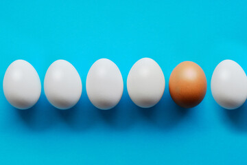 raw white chicken egg on a blue background